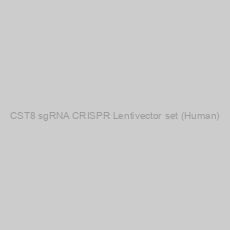 Image of CST8 sgRNA CRISPR Lentivector set (Human)